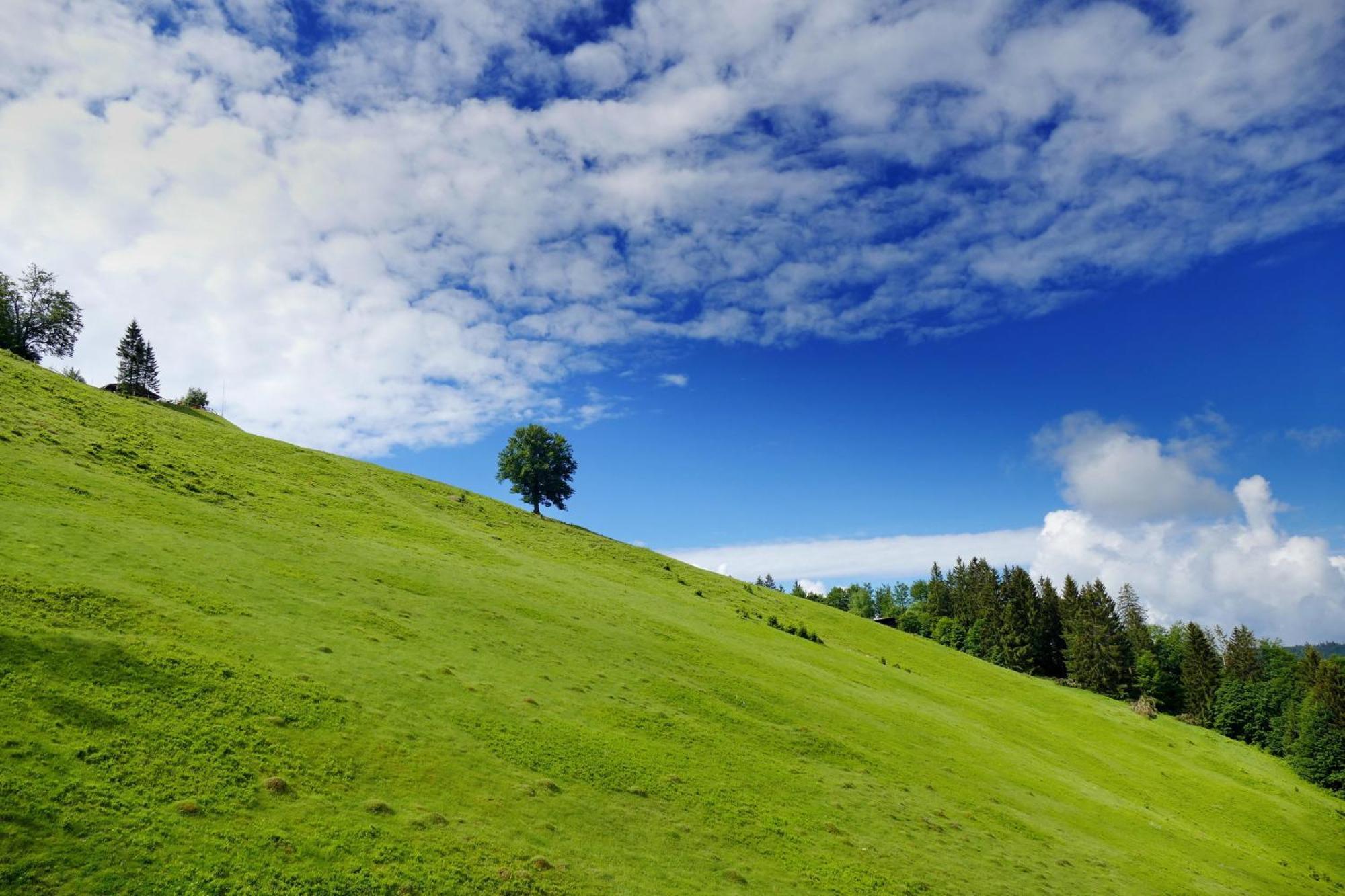 Haus Panoramablick - Fewo Storchennest, โฮเคนชวันด์ ภายนอก รูปภาพ